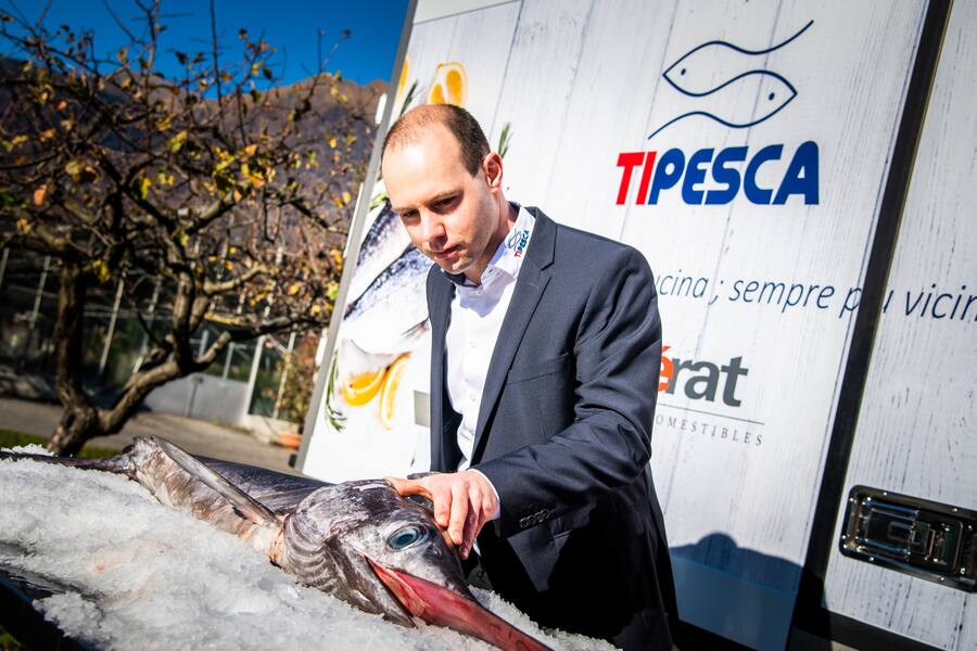 Tipesca SA, Nicolas Buchmann 2020:Schwertfisch