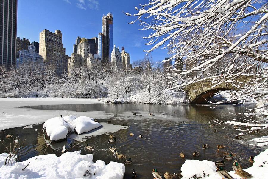 Central Park New York Winter