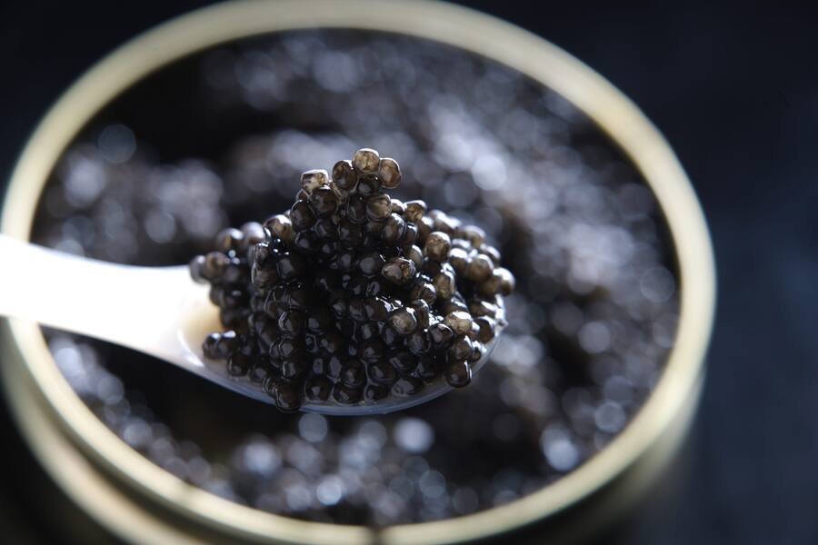 Tropenhaus Fruttigen Kaviarherstellung kaviar